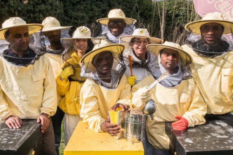 Bee My Job, accoglienza, formazione e lavoro in Piemonte, Emilia Romagna e Calabria