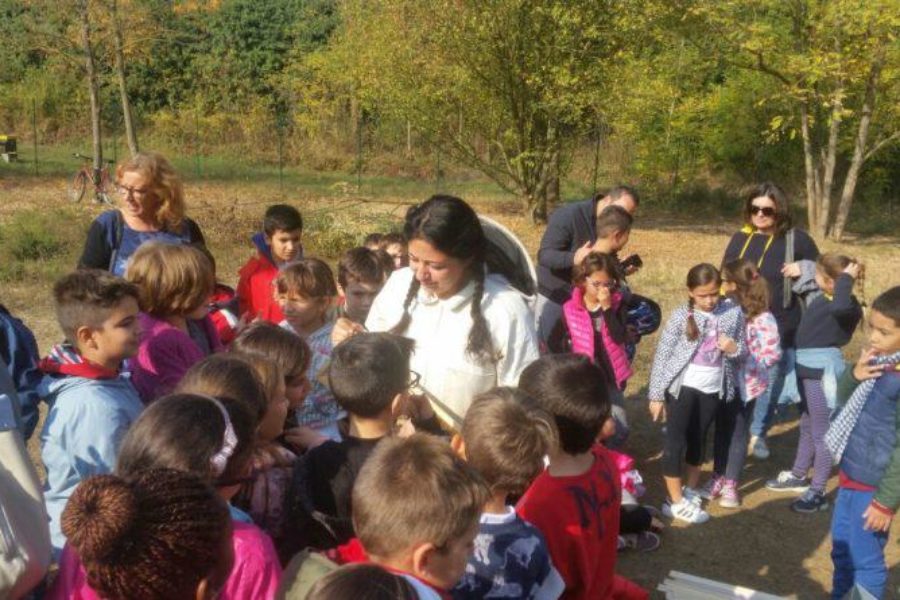 Apididattica con Bee My Job per inaugurare “Think Green Amico Albero” al Forte Acqui