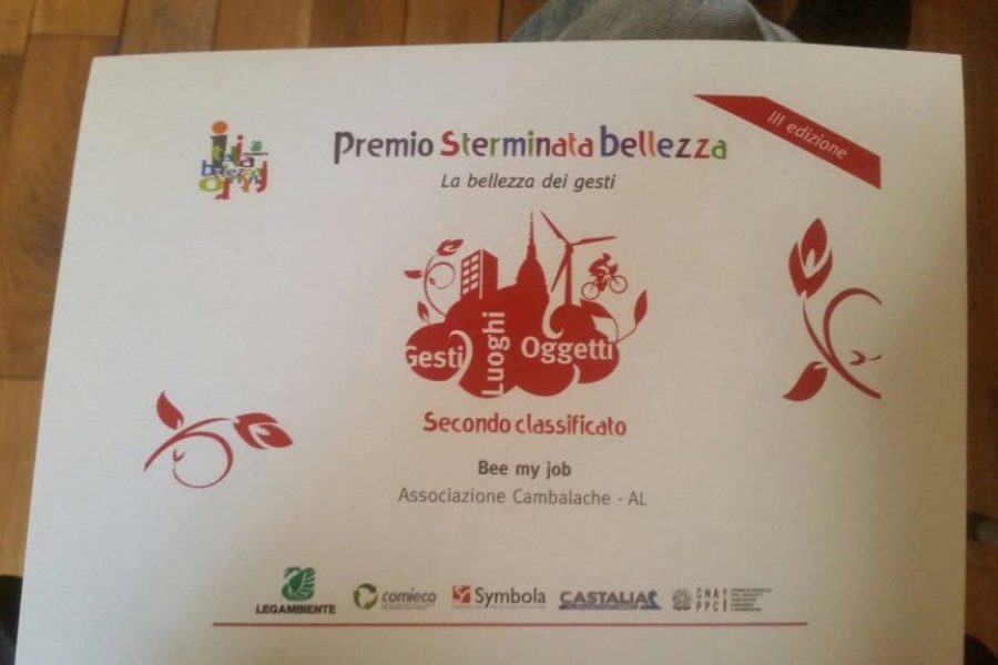 Bee My Job crea e diffonde “Sterminata bellezza”