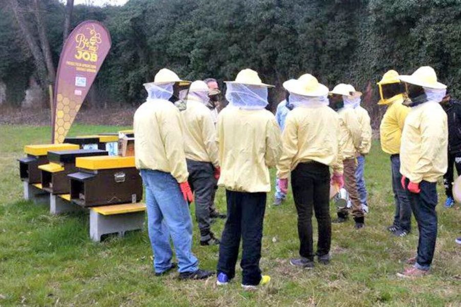 Bee My Job: un’opportunità per aziende e rifugiati
