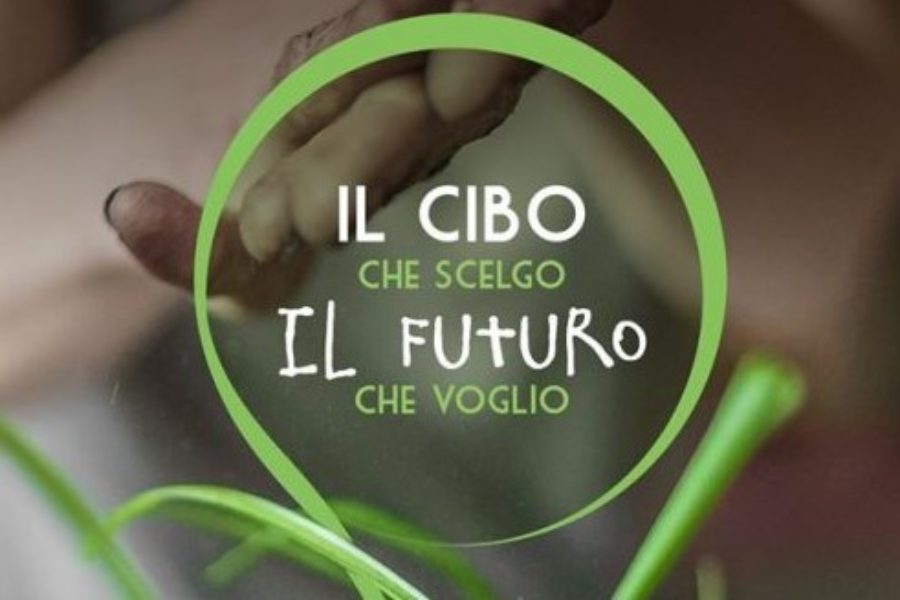 Bee My Job incontra giovani e studenti: due webinar per raccontare i percorsi dietro al miele