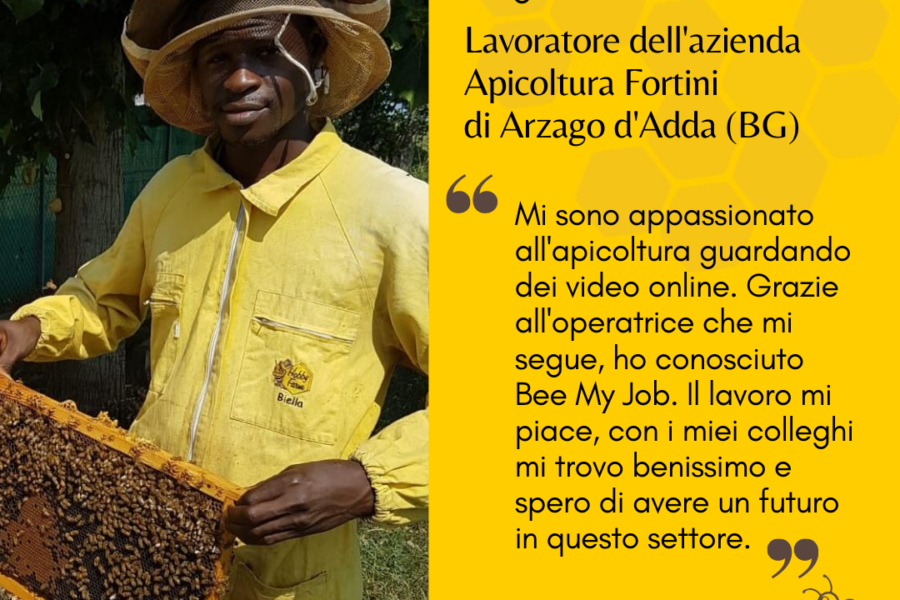 Le storie di Bee My Job: Mamadou fuggito dalla guerra ora lavora con le api