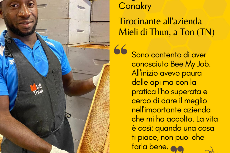Le storie di Bee My Job: Ousmane apicoltore in Trentino. “La vita offre opportunità meravigliose”