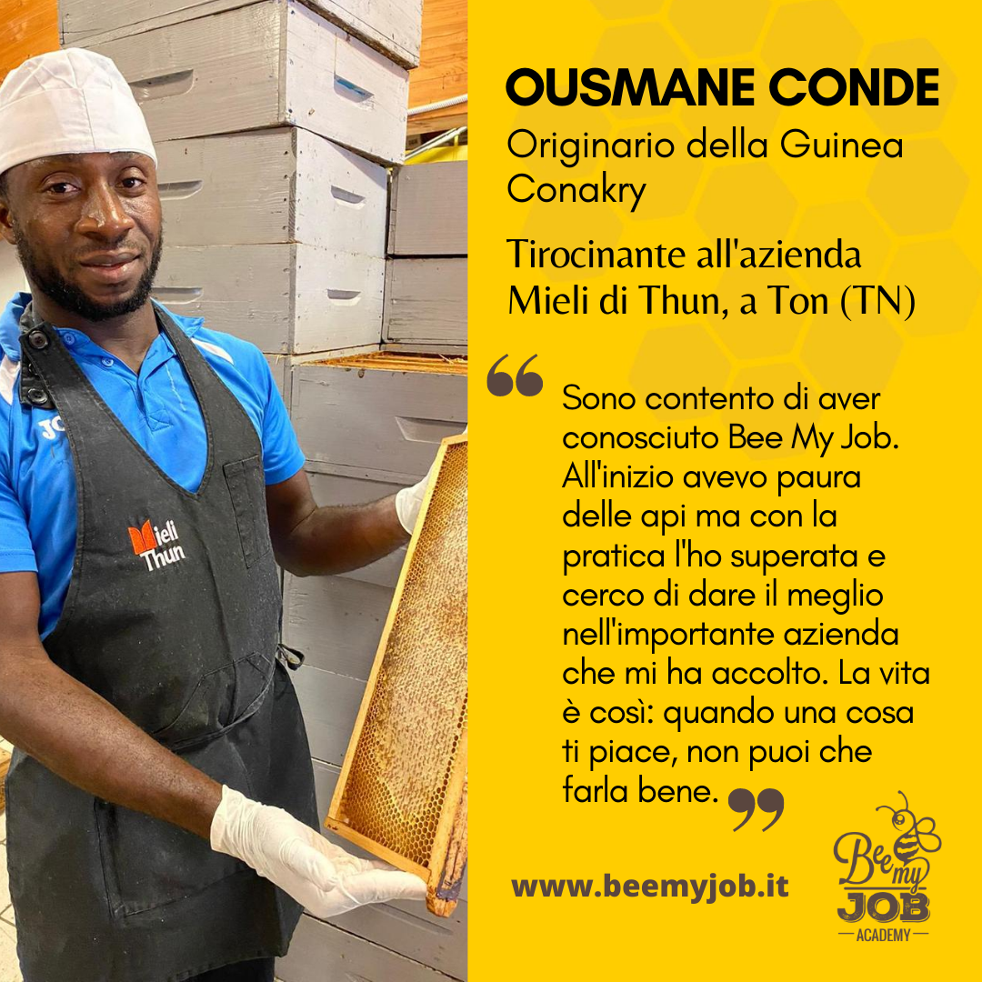 Le storie di Bee My Job: Ousmane apicoltore in Trentino. “La vita offre opportunità meravigliose”