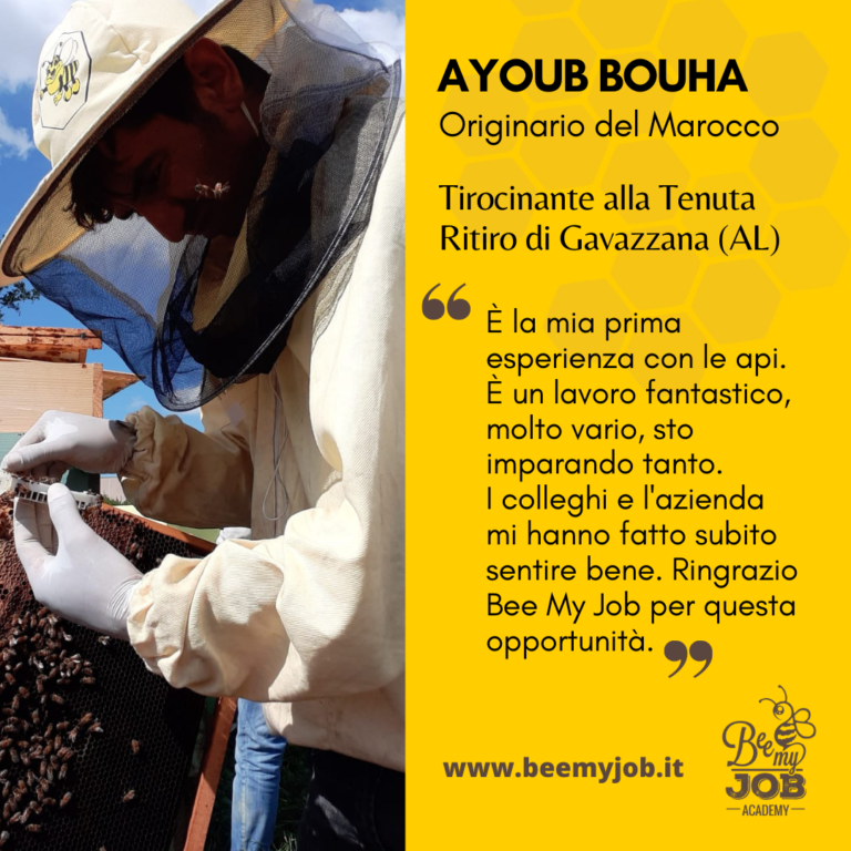 Le storie di Bee My Job Ayoub nell'azienda leader per la produzione di