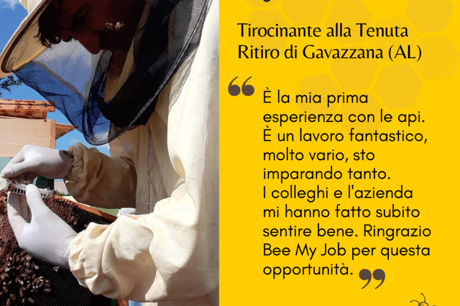 Le storie di Bee My Job: Ayoub nell’azienda leader per la produzione di api regine. “Un’esperienza fantastica”