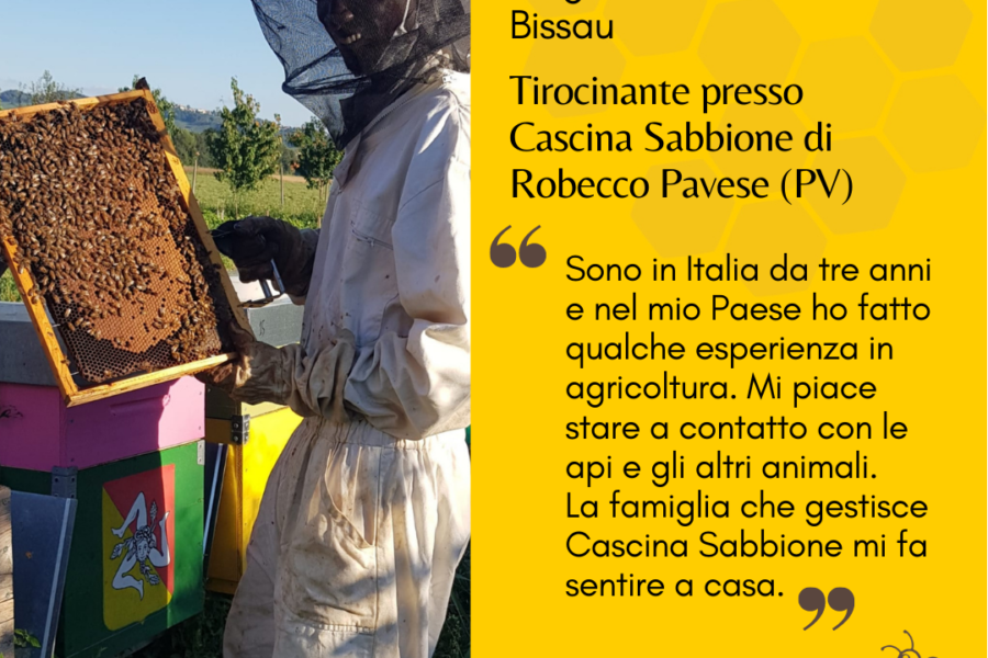 Le storie di Bee My Job: Lamine al lavoro in una microfattoria. “Mi sento come a casa”
