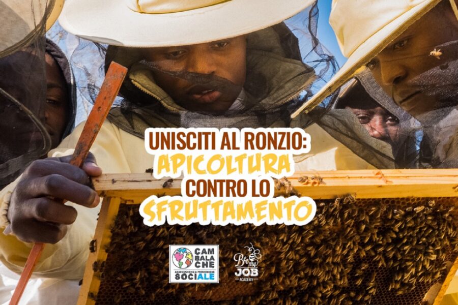 Unisciti al ronzio: apicoltura contro lo sfruttamento – Ecco gli EmBUZZador di Bee My Job