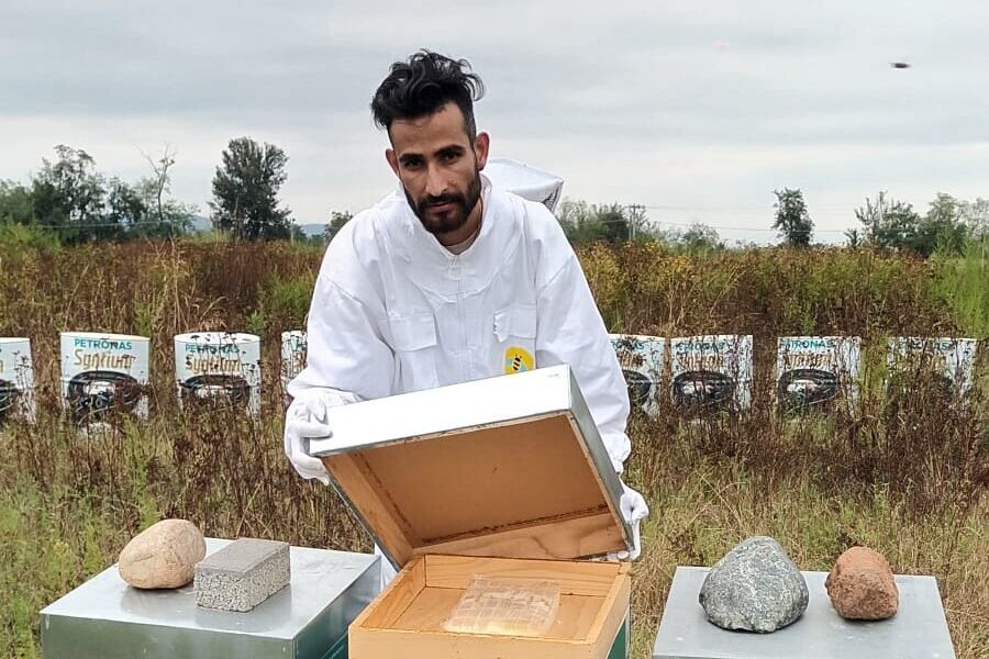 PETRONAS Lubricants Italy si unisce a Bee My Job